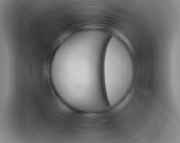 X0000114171033200910081109