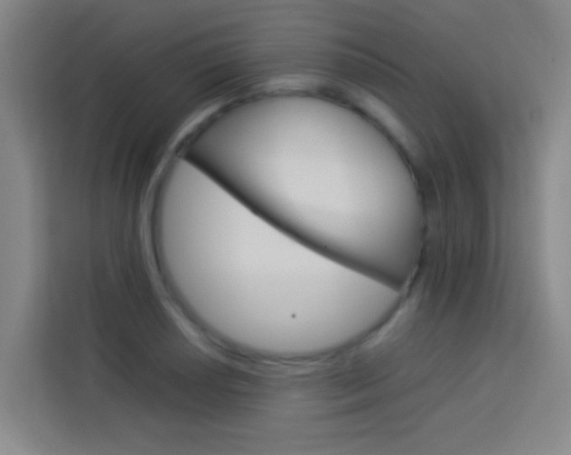 X0000114171034200910081109