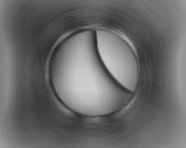 X0000114171045200910081109