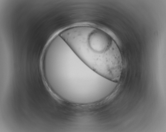 X0000114171054200910081109