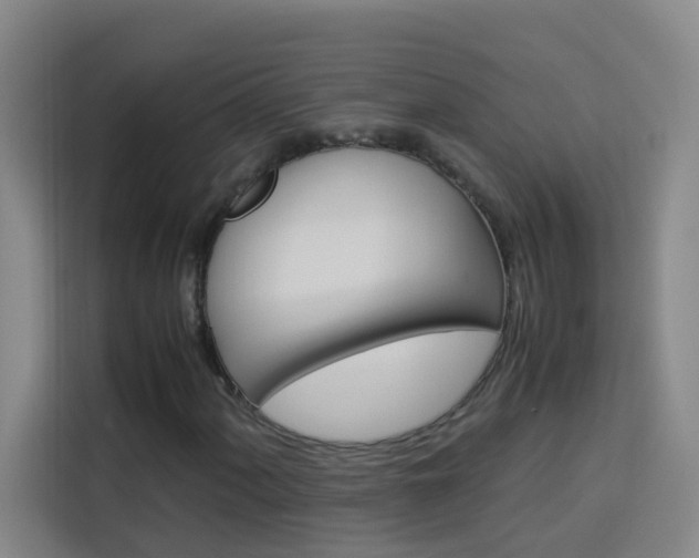 X0000114171060200910081109