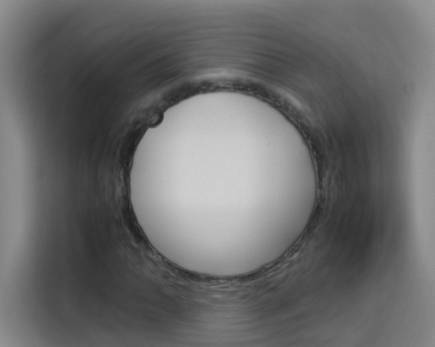 X0000114171062200910081109