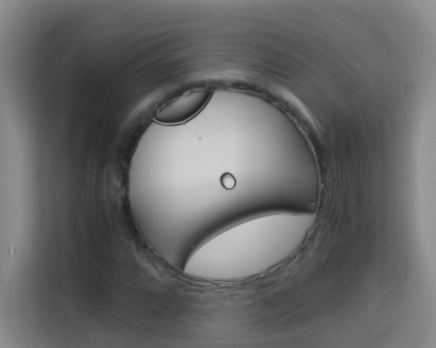 X0000114171064200910081109