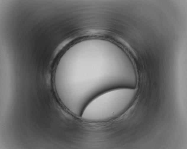 X0000114171066200910081109