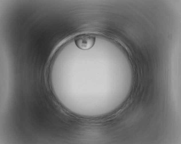 X0000114171069200910081109