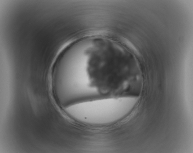 X0000114171079200910081108