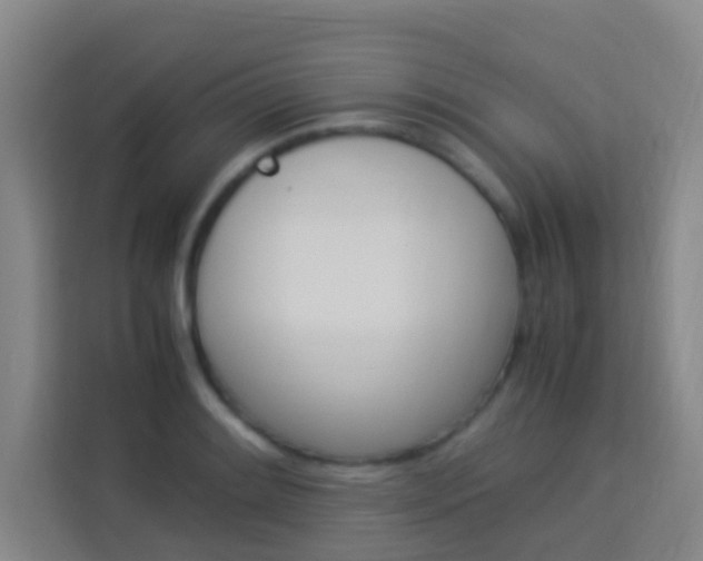 X0000114171084200910081108