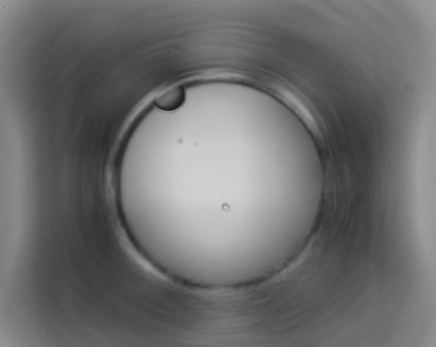 X0000114171092200910081108