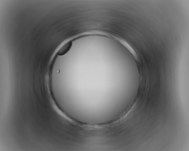 X0000114171100200910081108