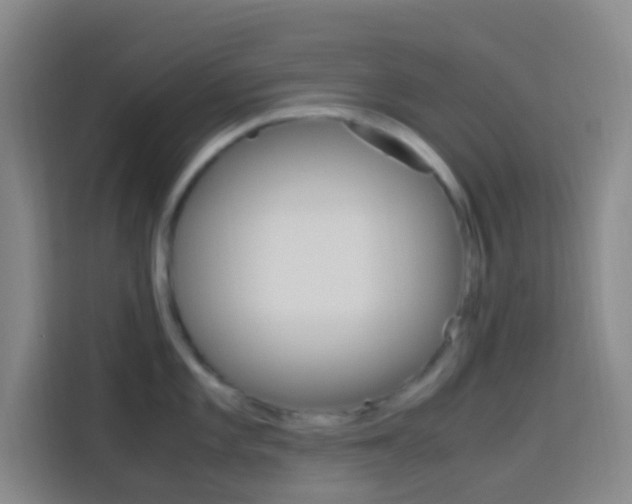 X0000114171101200910081108
