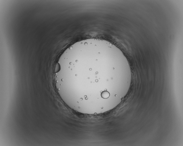 X0000114171105200910081108