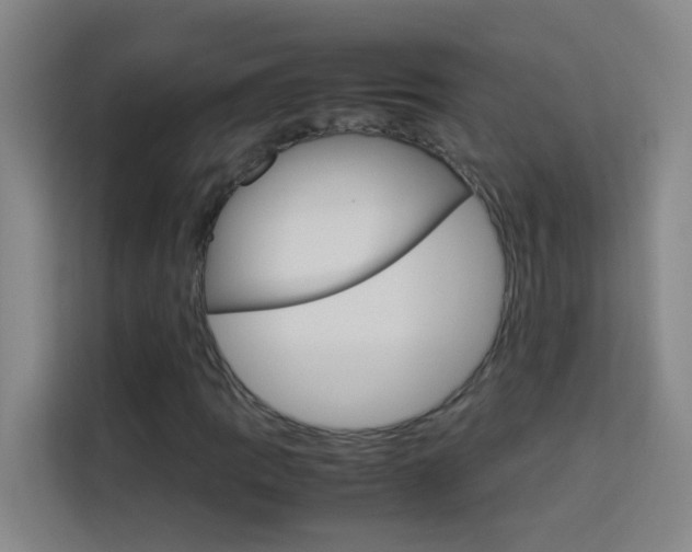 X0000114171109200910081108