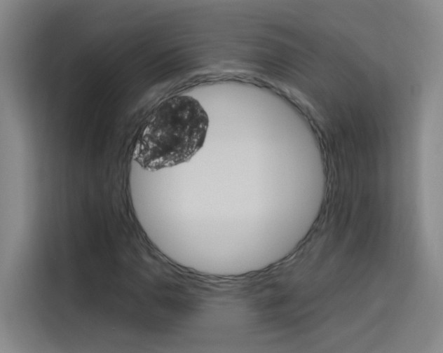 X0000114171110200910081108