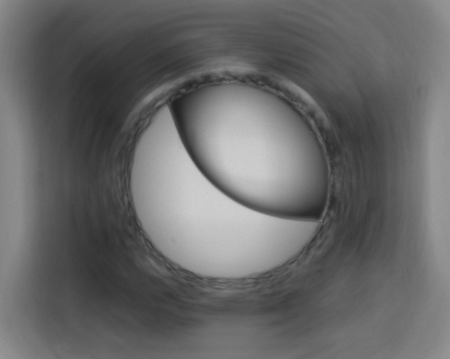 X0000114171112200910081108