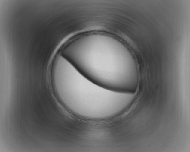 X0000114171118200910081108