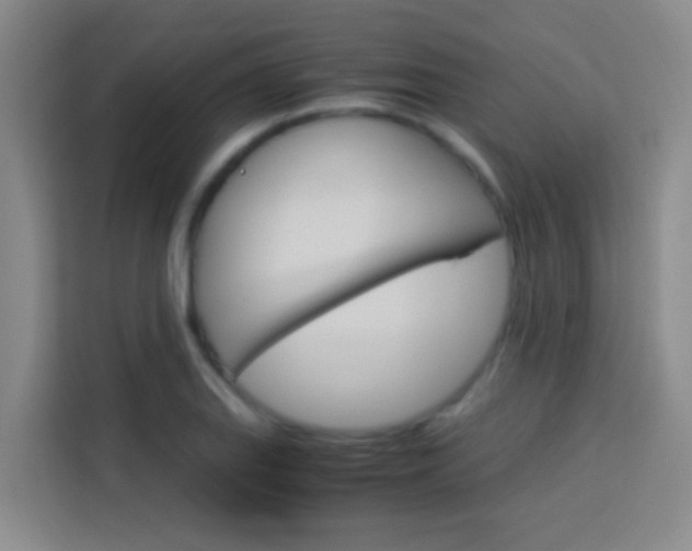 X0000114171127200910081108
