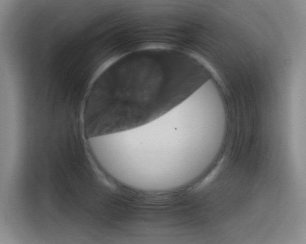 X0000114171129200910081108