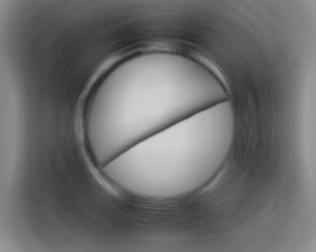 X0000114171131200910081108