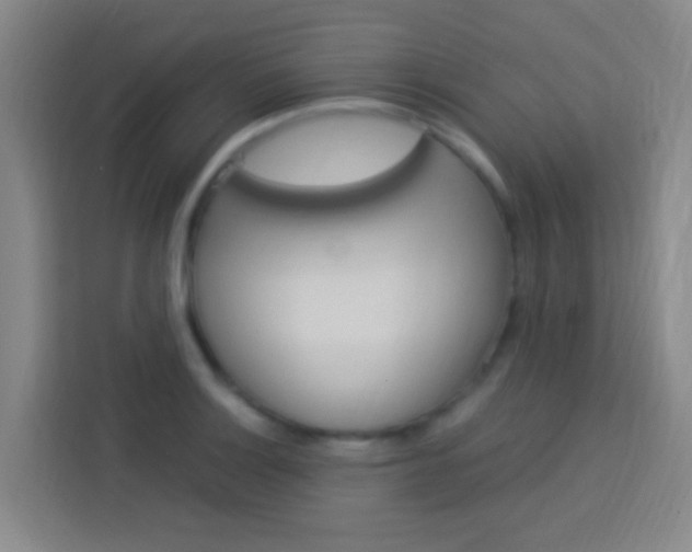 X0000114171132200910081108