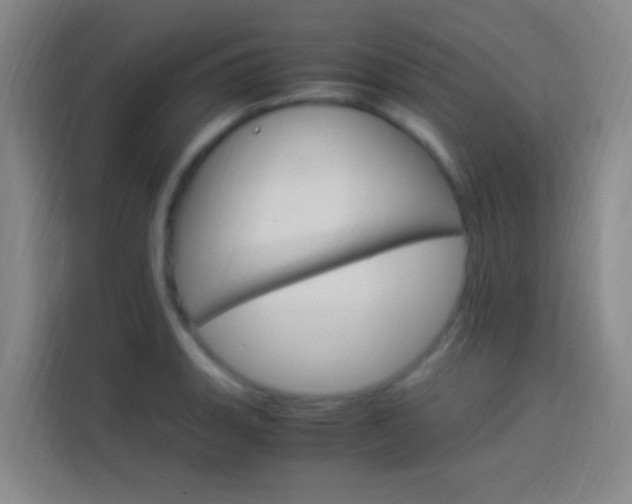 X0000114171135200910081108