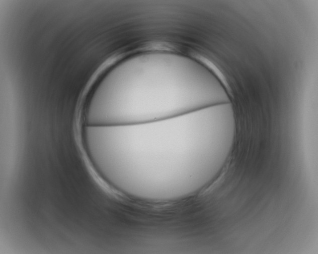 X0000114171139200910081108