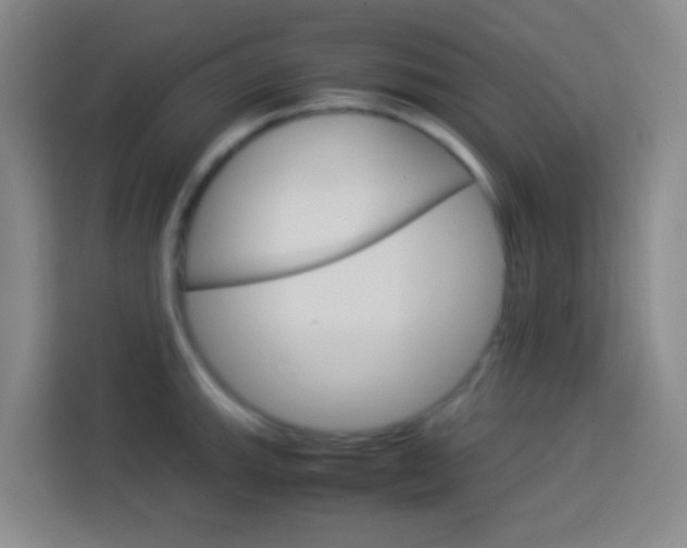 X0000114171143200910081108