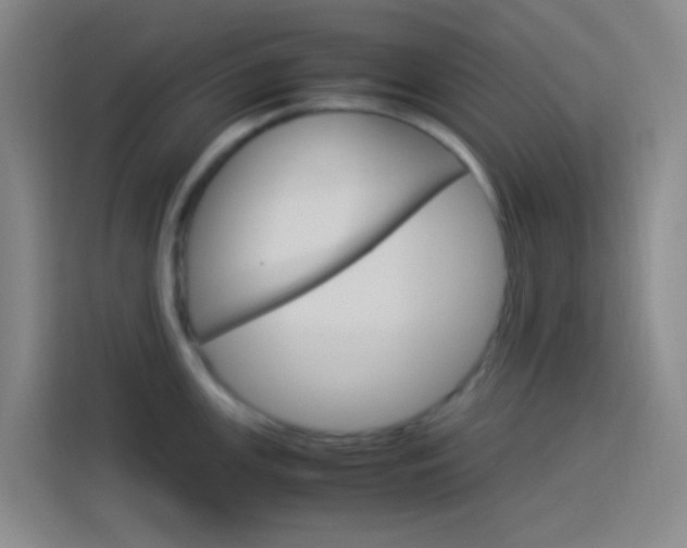 X0000114171147200910081108