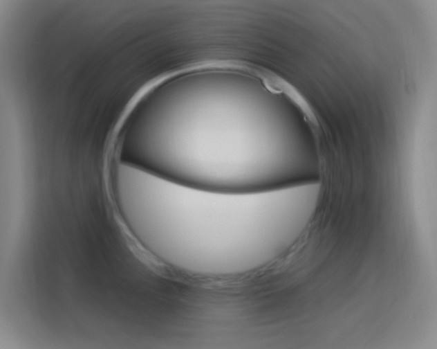 X0000114171148200910081108
