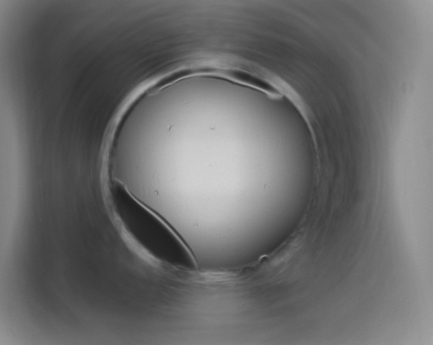 X0000114171152200910081108
