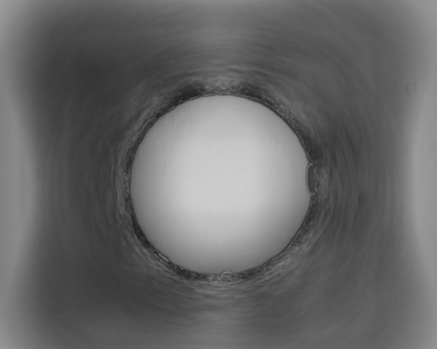 X0000114171153200910081108