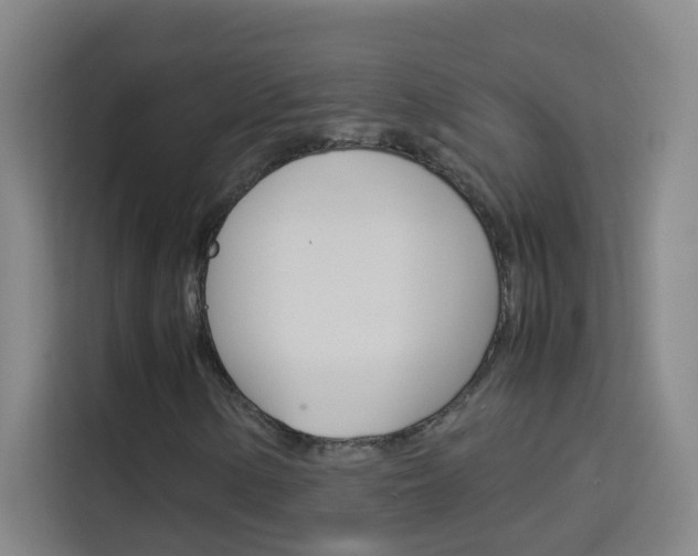 X0000114171154200910081108