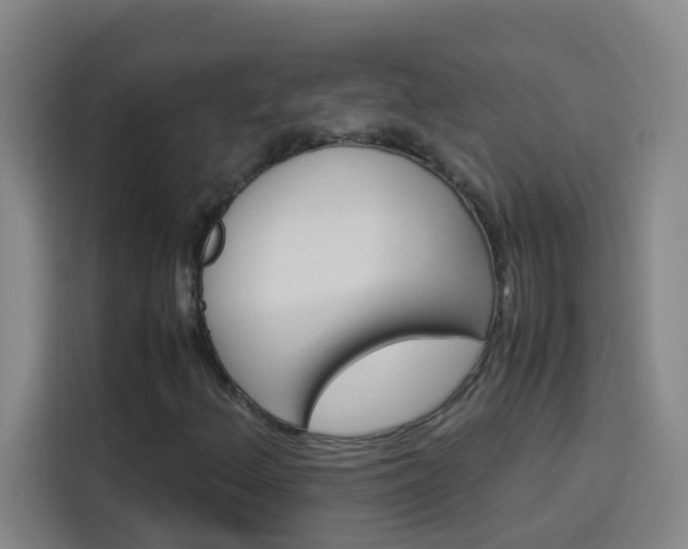 X0000114171156200910081107
