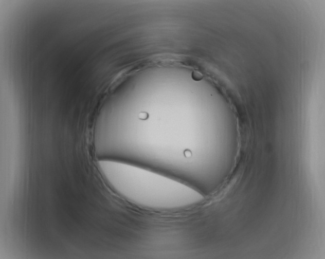 X0000114171169200910081107