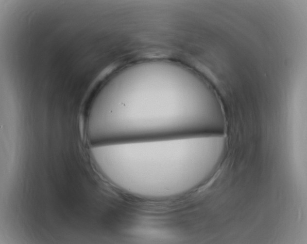 X0000114171171200910081107