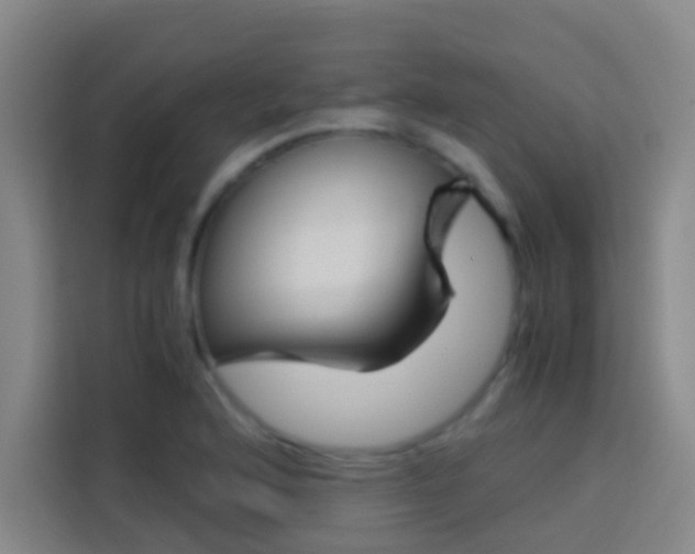 X0000114171176200910081107