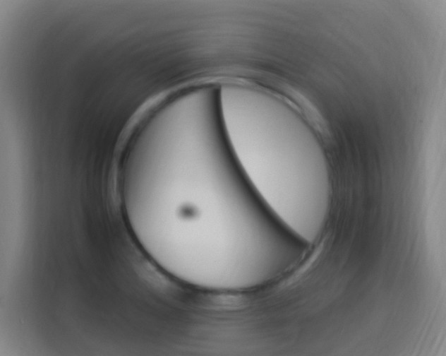 X0000114171180200910081107