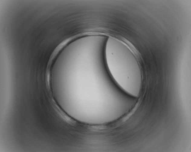 X0000114171196200910081107