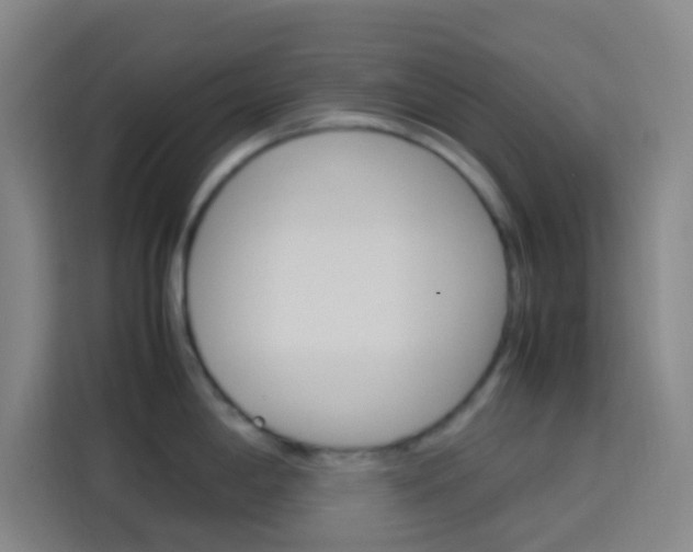 X0000114171198200910081107