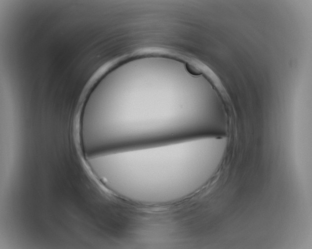 X0000114171199200910081107