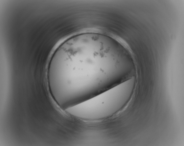 X0000114171200200910081107