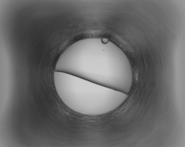 X0000114171204200910081106