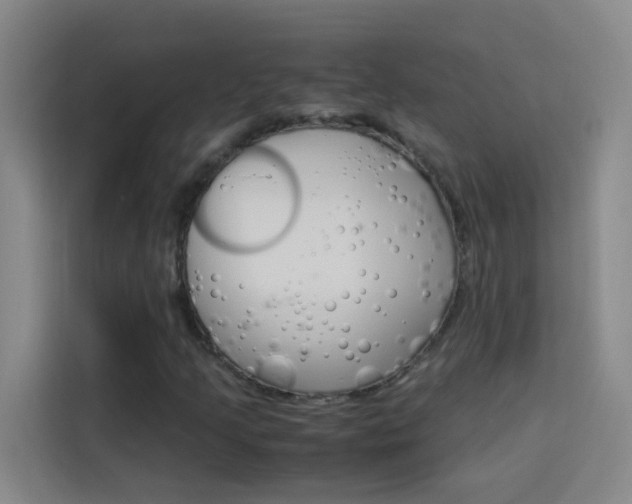 X0000114171205200910081106
