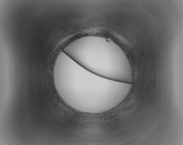X0000114171206200910081106