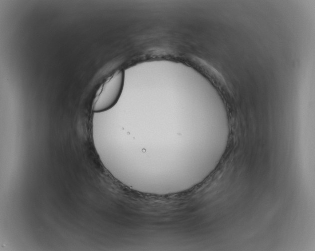 X0000114171207200910081106