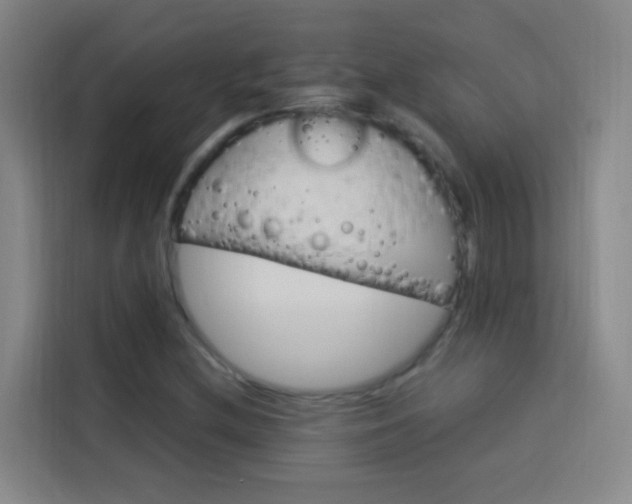 X0000114171212200910081106