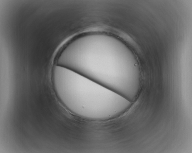 X0000114171216200910081106