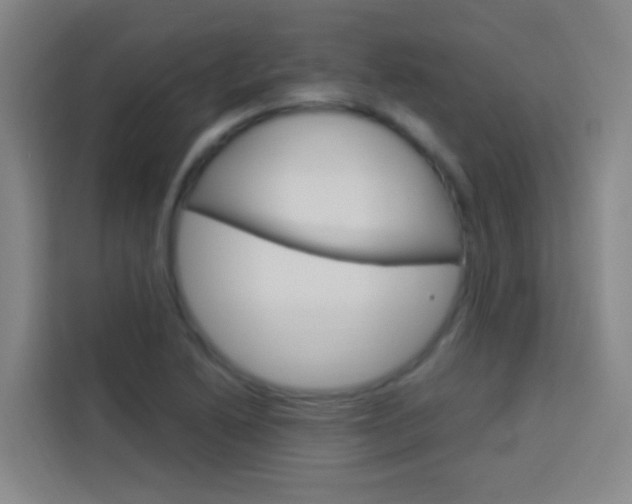 X0000114171222200910081107