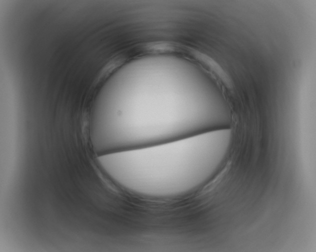 X0000114171225200910081107