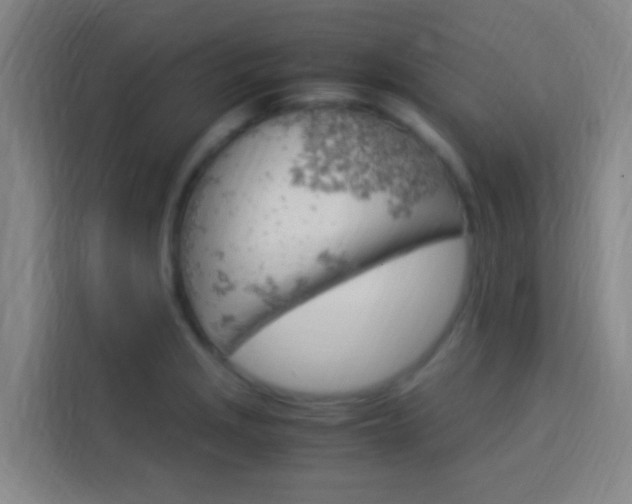 X0000114171229200910081107