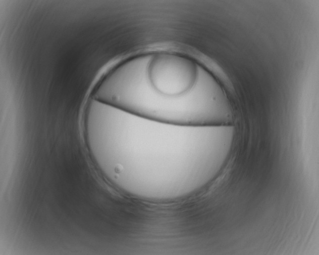 X0000114171230200910081107